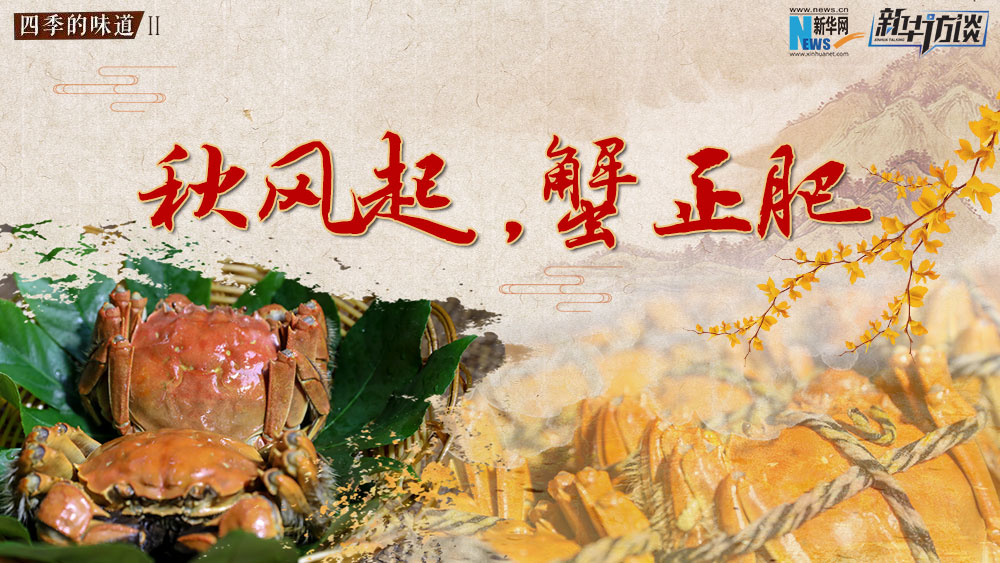 秋風起，蟹正肥