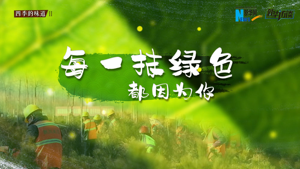 千年秀林，每一抹綠色都因為你