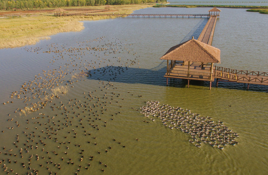 新華微評&middot;學習路上：生態(tài)興，百業(yè)旺
