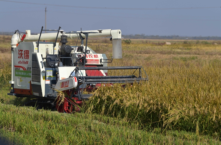 新華社評論員:穩(wěn)固耕地基本盤，打好種業(yè)翻身仗