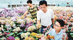 臺(tái)商眼中的改革開放：風(fēng)景這邊獨(dú)好 要去，要去，要去！