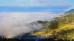 臺(tái)胞臺(tái)商熱議陜西惠臺(tái)&ldquo;60條&rdquo;：期盼落實(shí)、共享機(jī)遇