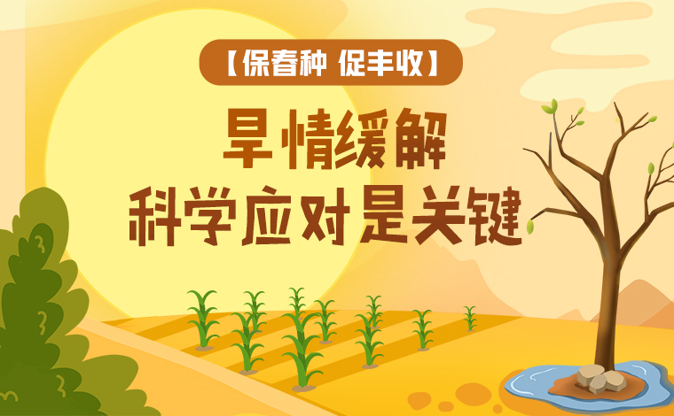 【保春種 促豐收】旱情緩解 科學(xué)應(yīng)對(duì)是關(guān)鍵