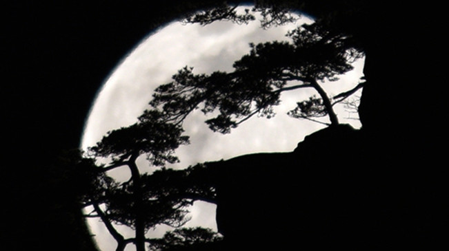 太驚艷！明月奇松 夢(mèng)幻同框