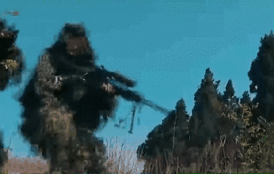 突入，擊斃！直擊武警特戰(zhàn)反劫持演練！