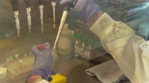 美國(guó)：專家&mdash;&mdash;南非和巴西發(fā)現(xiàn)的變異株很難確診