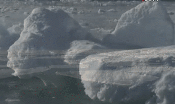 聯(lián)合國環(huán)境署發(fā)布全球環(huán)境報告：人類對自然的&ldquo;自殺式戰(zhàn)爭&rdquo;釀成三大危機(jī)