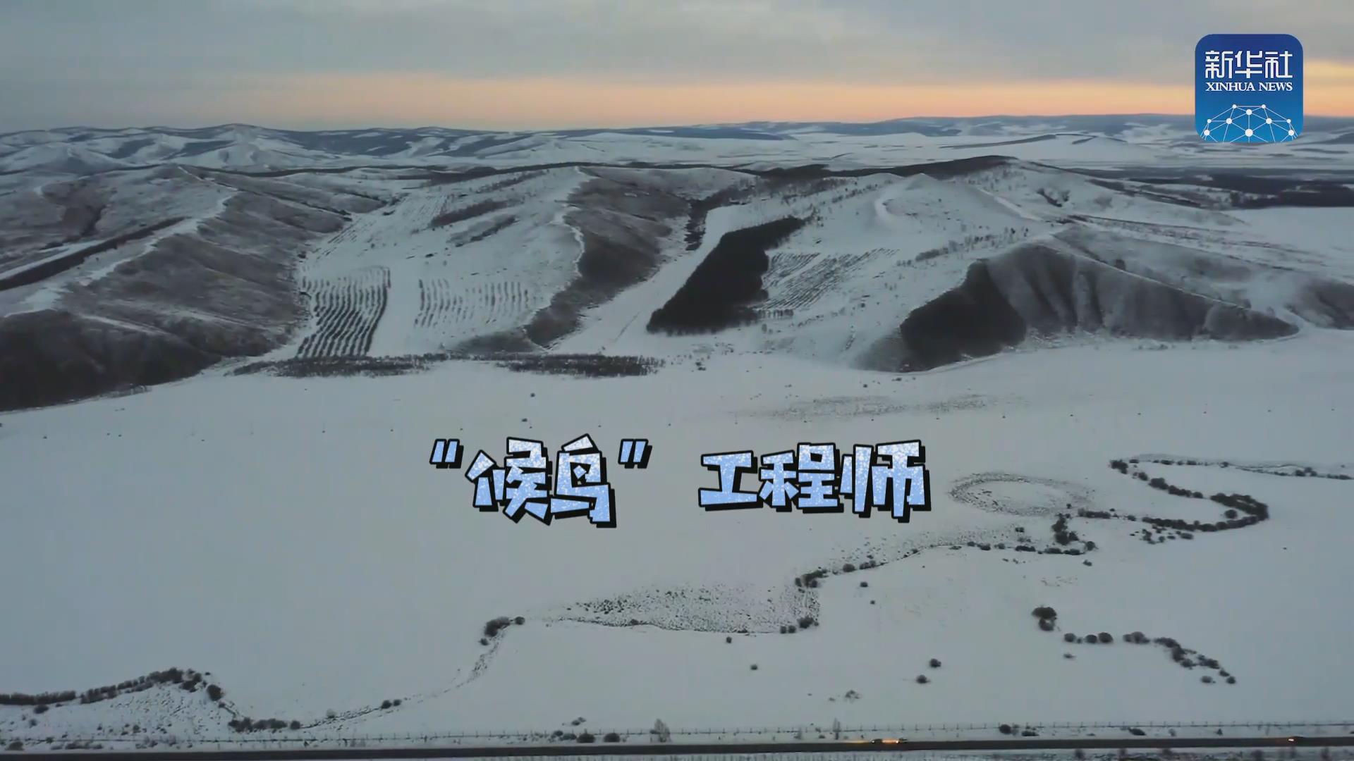 我們?cè)诒寂茇宦废虮保∷悄嫘械?ldquo;候鳥(niǎo)&rdquo;