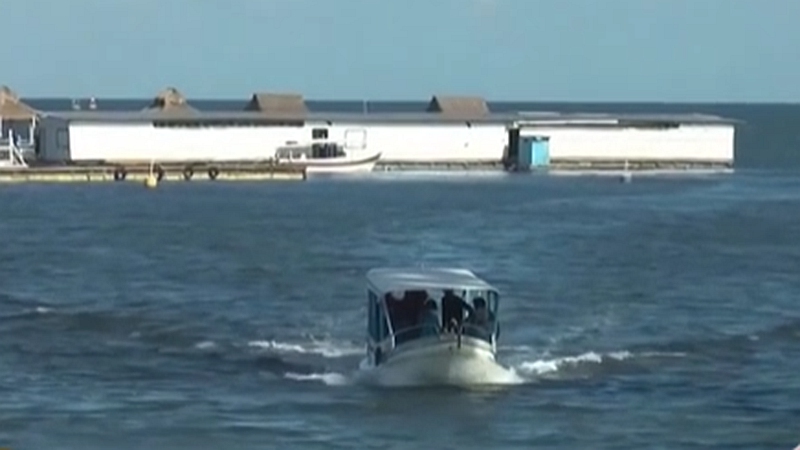 整頓！ 非法營業(yè) 印尼巴厘島解救七只寬吻海豚