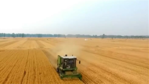 今天是第31個(gè)全國(guó)&ldquo;土地日&rdquo;：堅(jiān)持最嚴(yán)格耕地保護(hù)制度 端穩(wěn)&ldquo;飯碗田&rdquo;