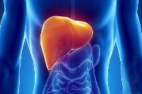 【健康解碼】轉(zhuǎn)氨酶輕度升高要不要緊？