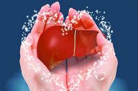 【健康解碼】轉(zhuǎn)氨酶正常肝臟就一定正常嗎？