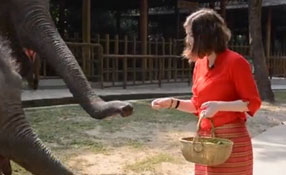 勐巴拉娜西！&ldquo;洋記者&rdquo;帶你游西雙版納