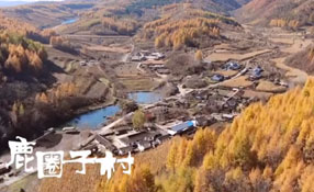 探秘關(guān)東人家，畫一個(gè)童話里的秋天