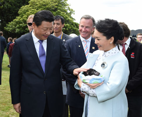 11月18日，國家主席習近平在澳大利亞塔斯馬尼亞州與朗塞斯頓市斯科奇－歐克伯恩小學的小學生共同植樹。這是習近平和夫人彭麗媛植樹后撫摸袋獾。新華社記者 馬占成 攝