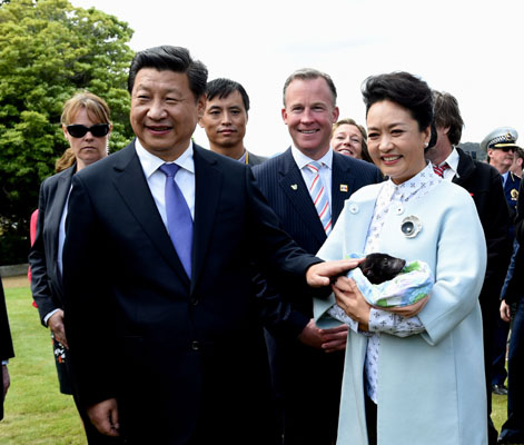 11月18日，國家主席習近平在澳大利亞塔斯馬尼亞州與朗塞斯頓市斯科奇－歐克伯恩小學的小學生共同植樹。這是習近平和夫人彭麗媛植樹后撫摸袋獾。新華社記者 饒愛民 攝