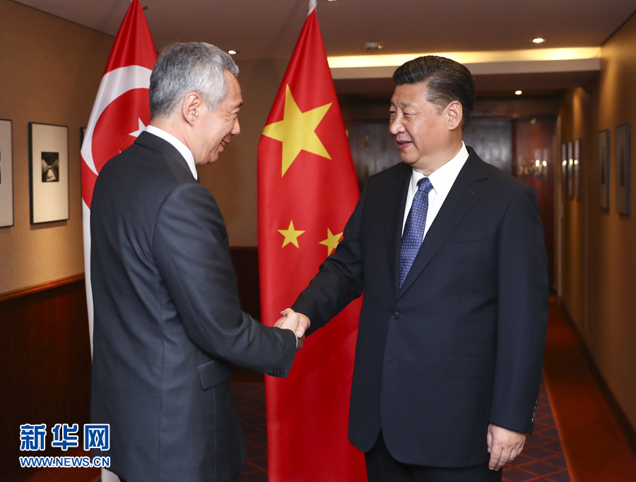 7月6日，國(guó)家主席習(xí)近平在漢堡會(huì)見新加坡總理李顯龍。 新華社記者謝環(huán)馳 攝