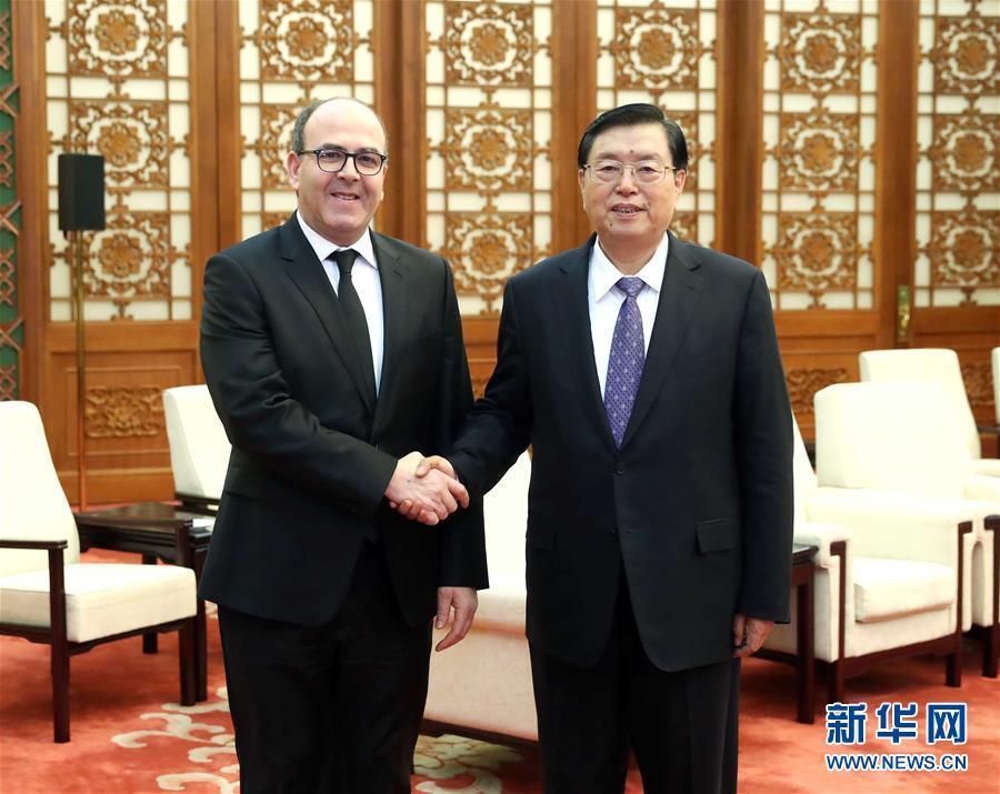 12月20日，全國(guó)人大常委會(huì)委員長(zhǎng)張德江在北京人民大會(huì)堂會(huì)見摩洛哥參議長(zhǎng)本希馬。新華社記者劉衛(wèi)兵攝