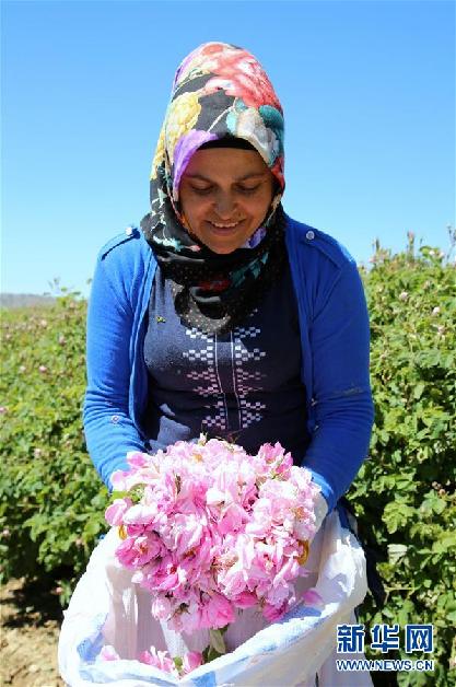 （國際&middot;圖文互動(dòng)）通訊：土耳其&ldquo;玫瑰經(jīng)濟(jì)&rdquo;看好中國市場