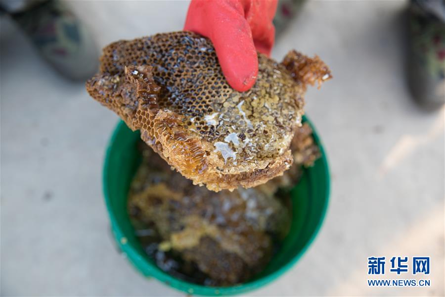 (國際·聚焦進(jìn)口博覽會·圖文互動)(7)通訊:贊比亞蜂蜜企業(yè)欲借進(jìn)博會開拓中國市場