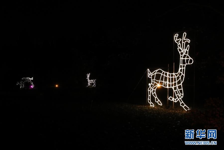 （國(guó)際）（5）&ldquo;柏林圣誕花園&rdquo;燈光秀開(kāi)幕