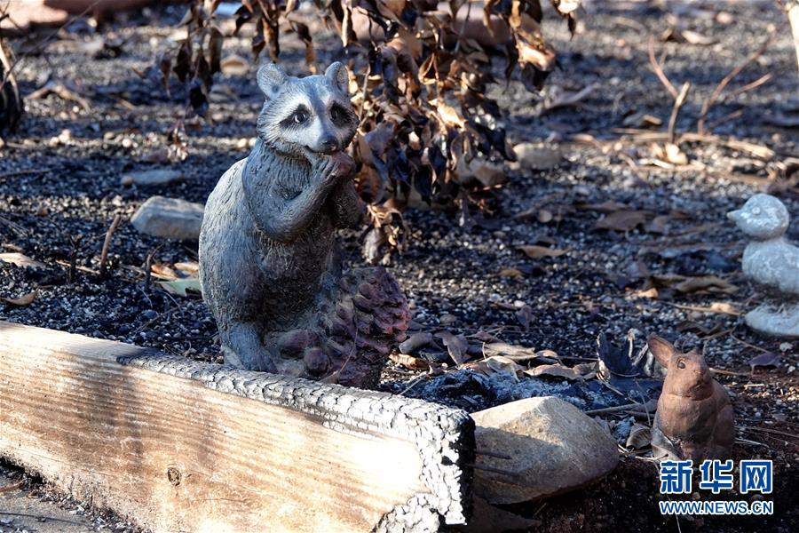（國(guó)際&middot;圖文互動(dòng)）（4）一場(chǎng)山火，讓這個(gè)冬天格外冷&mdash;&mdash;探訪美國(guó)加州山火災(zāi)區(qū)