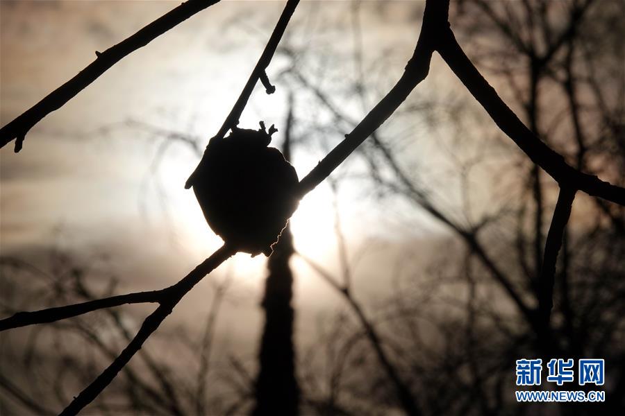 （國(guó)際&middot;圖文互動(dòng)）（10）一場(chǎng)山火，讓這個(gè)冬天格外冷&mdash;&mdash;探訪美國(guó)加州山火災(zāi)區(qū)