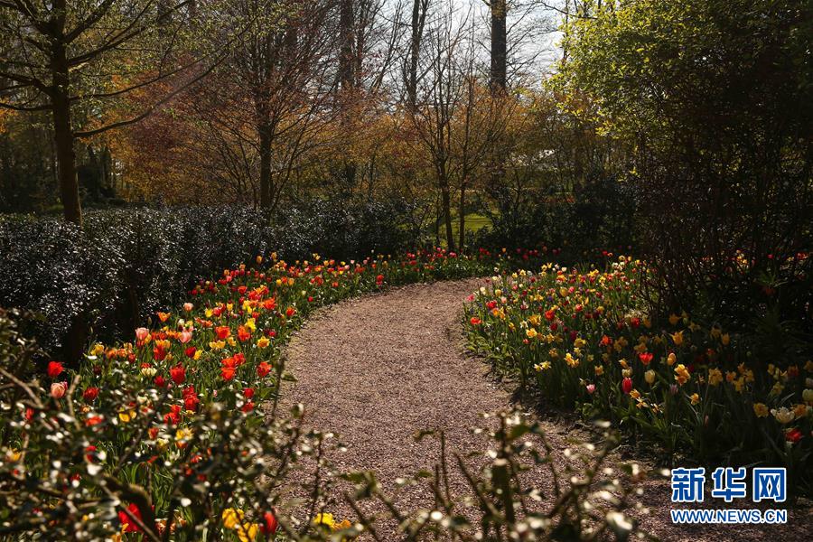 （國際&middot;北京世園會）（17）世界園林巡禮&mdash;&mdash;比利時拜加登城堡