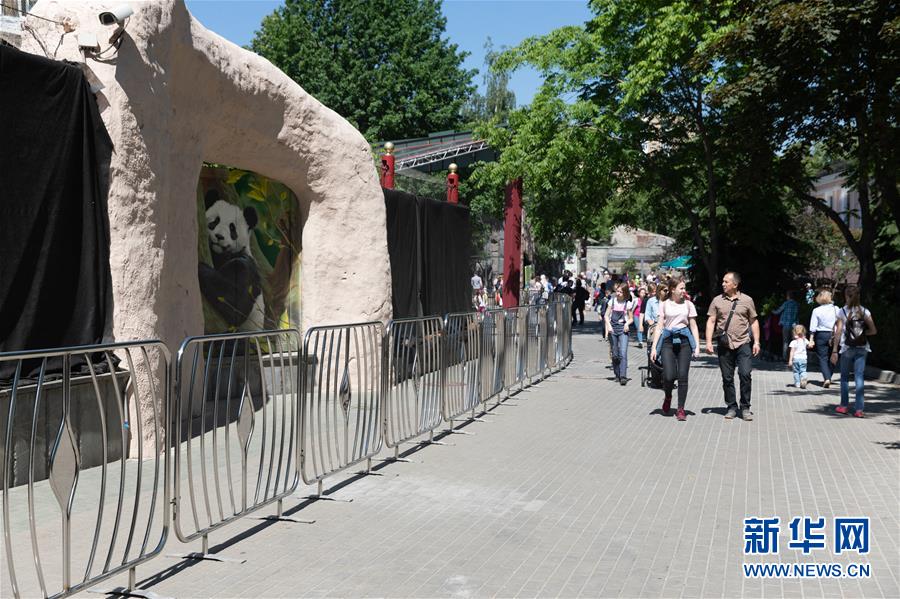 (習(xí)近平出訪配合稿·圖文互動)(2)通訊:“友誼使者”中國大熊貓入住莫斯科新家