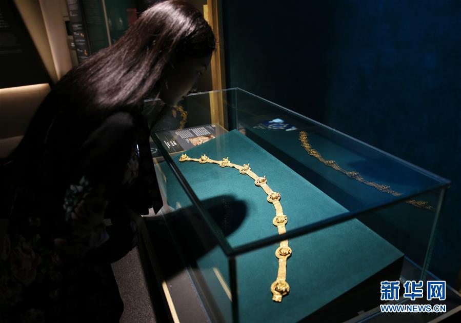 （港澳臺(tái)&middot;圖文互動(dòng)）（2）特寫(xiě)：&ldquo;流浪&rdquo;到香港的阿富汗國(guó)寶