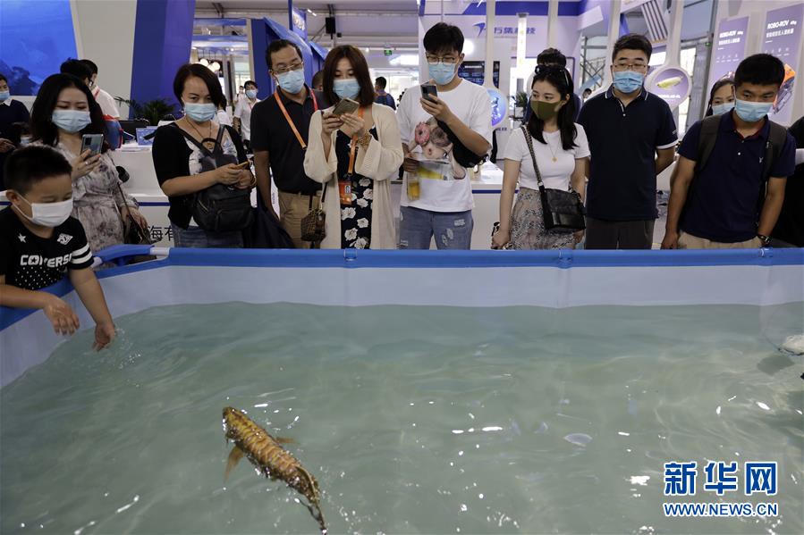 （2020服貿(mào)會(huì)）（6）各顯神通的&ldquo;機(jī)器伙伴&rdquo;