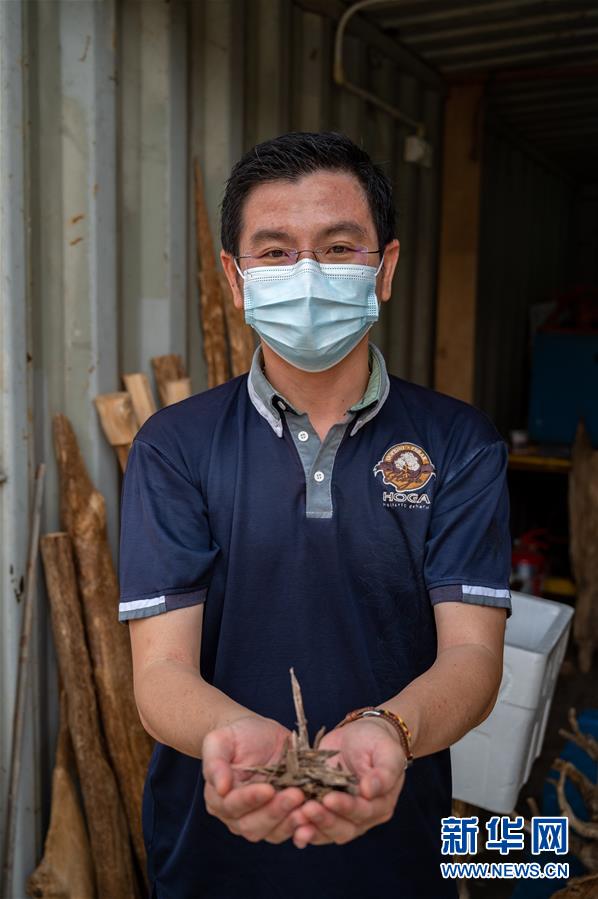 （新華全媒頭條&middot;圖文互動）（10）攜手共&ldquo;進(jìn)&rdquo; 開放共贏&mdash;&mdash;寫在第三屆中國國際進(jìn)口博覽會開幕之際