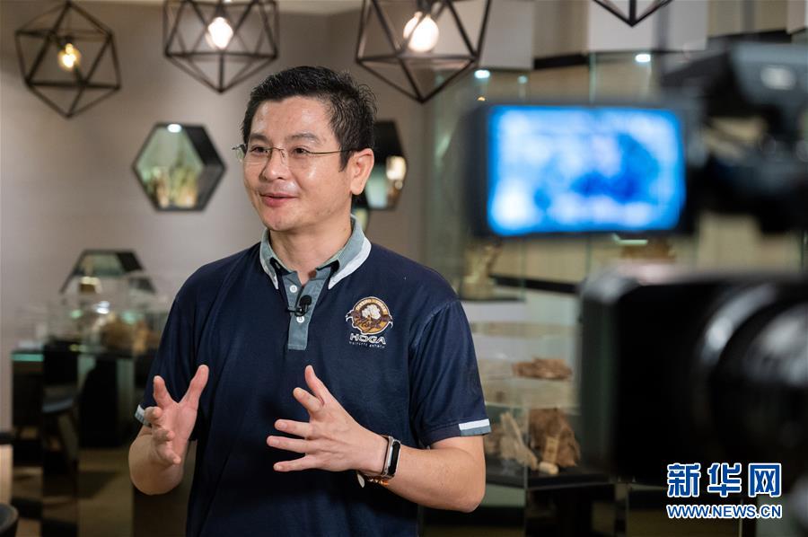 (第三屆進(jìn)博會·圖文互動)(8)專訪:進(jìn)博會提供了一個共享中國發(fā)展機(jī)遇的平臺