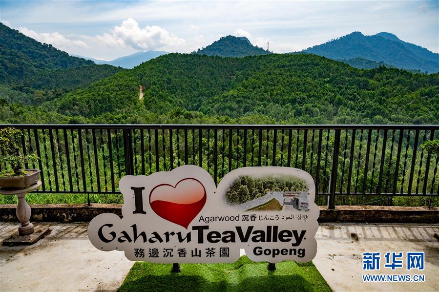 (第三屆進(jìn)博會·圖文互動)(11)專訪:進(jìn)博會提供了一個共享中國發(fā)展機(jī)遇的平臺