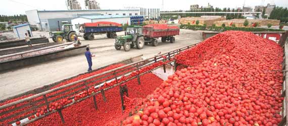 中國(guó)推動(dòng)構(gòu)建共贏、互信、發(fā)展的新絲綢之路