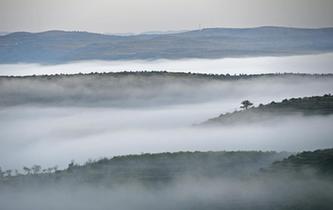 中國扶貧的西海固答卷&mdash;&mdash;寧夏奮進60年巡禮之脫貧攻堅篇