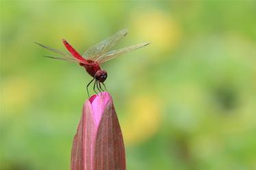 2019，精&ldquo;彩&rdquo;紛呈