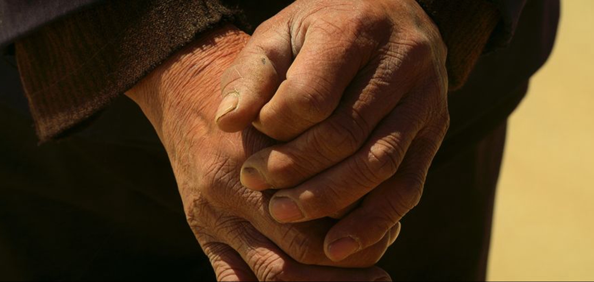 正式發(fā)布！《攜手，為人民》中國共產(chǎn)黨與世界政黨領導人峰會暖場片