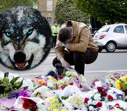 血案頻發(fā) "獨狼"緣何兇猛？