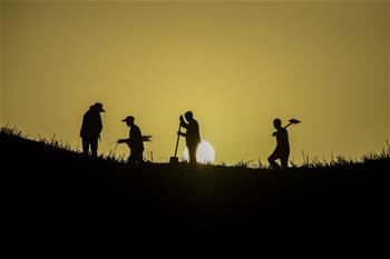 筑路&ldquo;沙海&rdquo;中